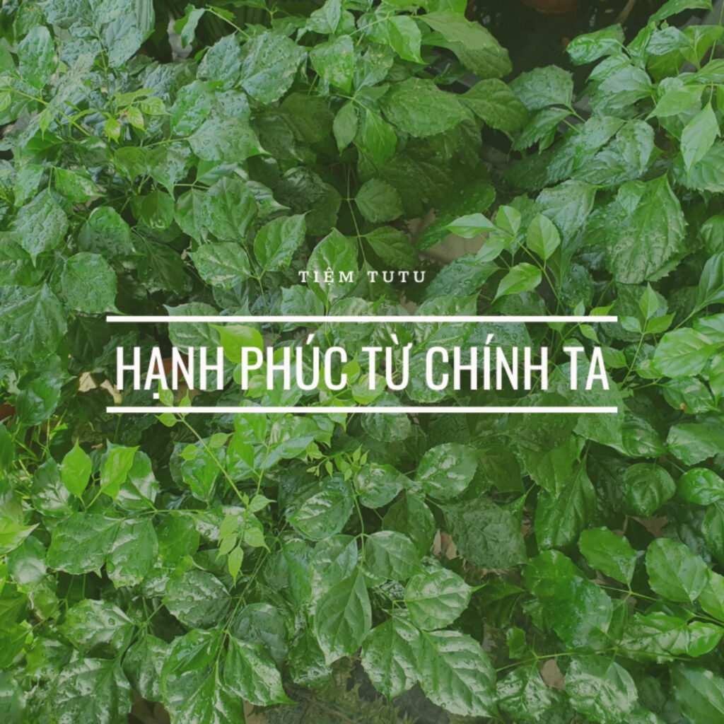 Hạnh Phúc từ chính ta