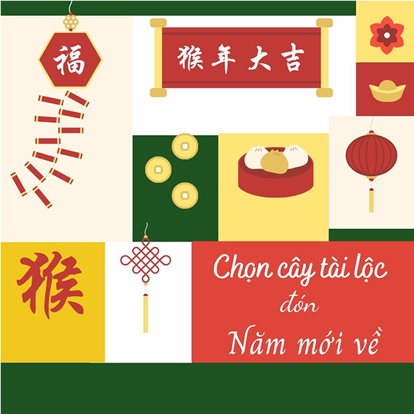 cây tài lộc