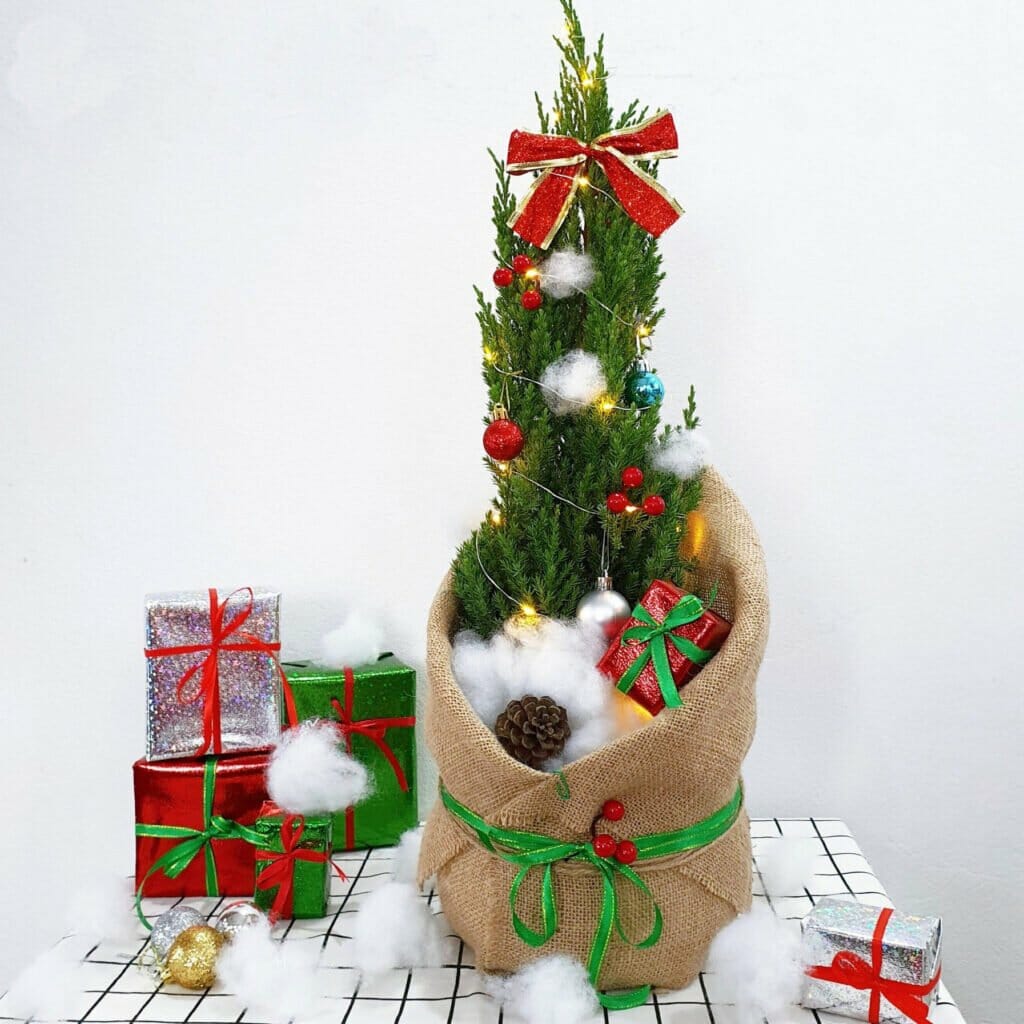 Các mẫu cây trang trí