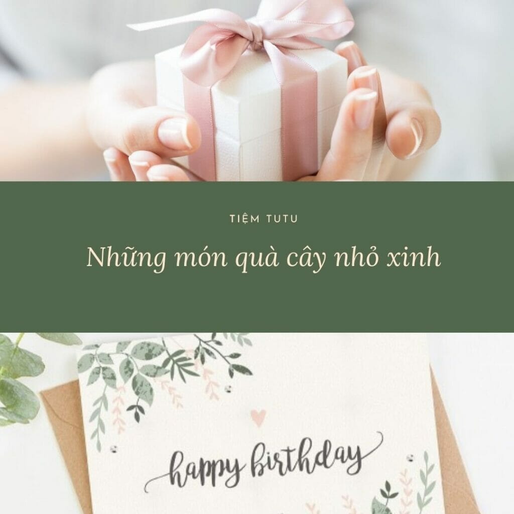 Những món quà cây nhỏ xinh