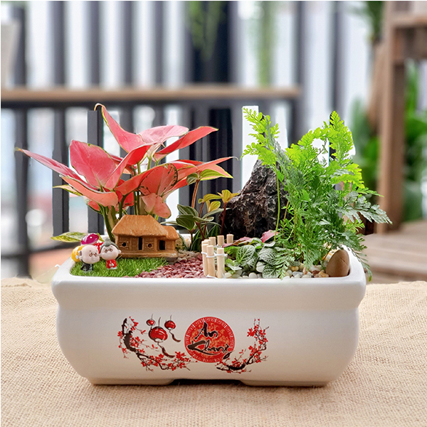 Tiểu cảnh Vạn lộc - Tiệm Tu Tu