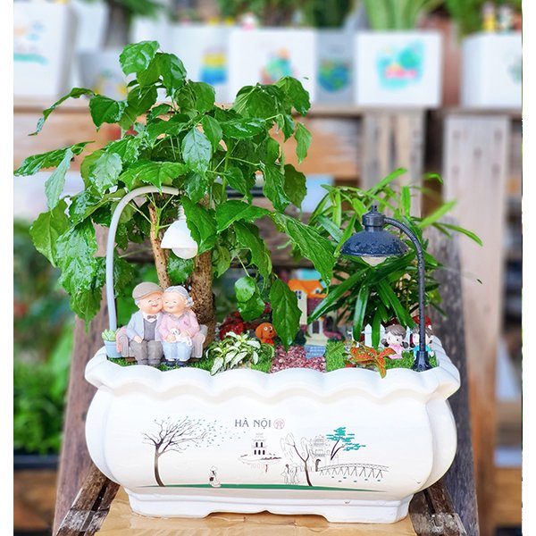 z2997837498122_8c64775dccbb3eb747c2f3da4852cfbd