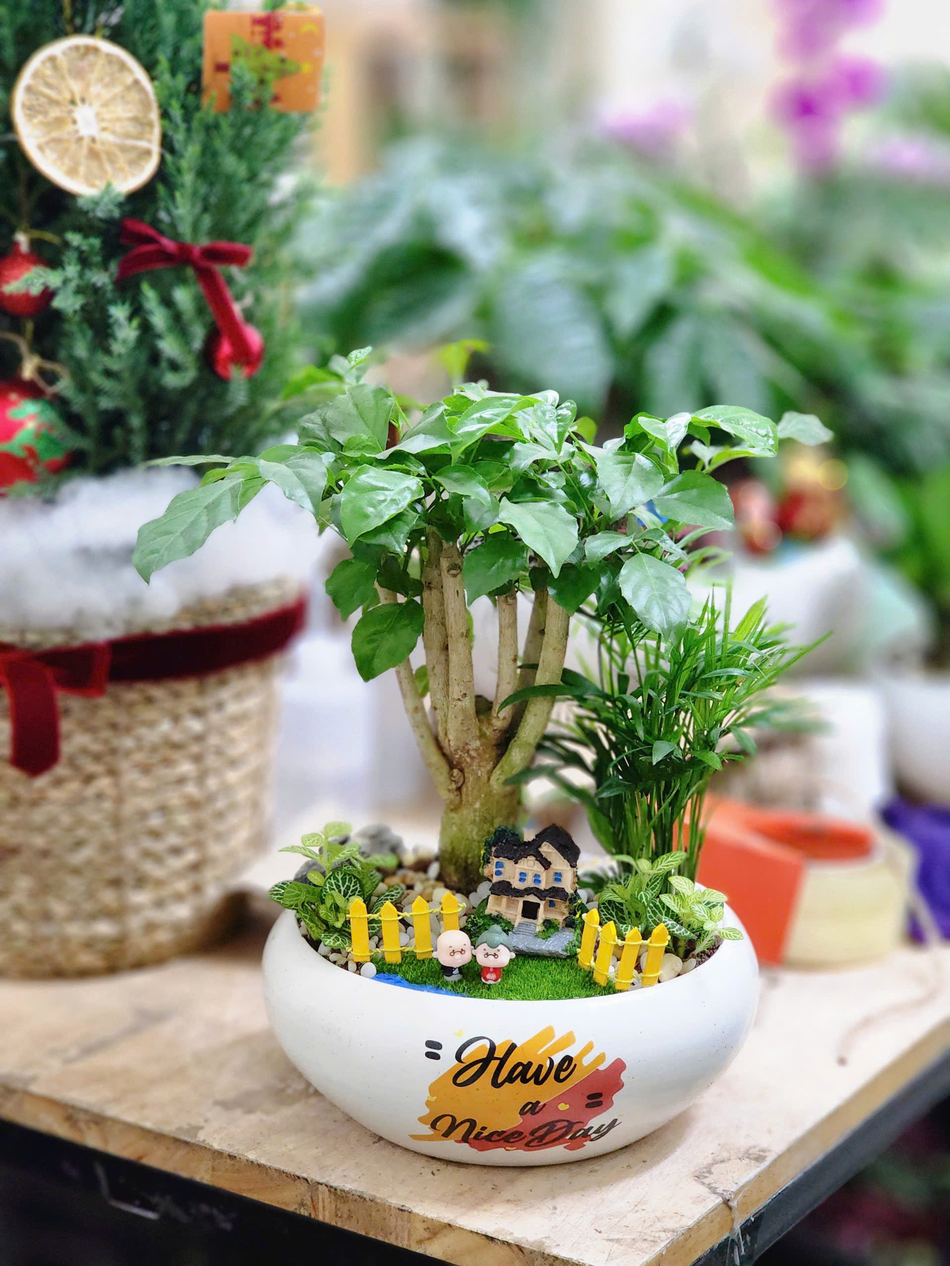 z6125595092254_cec25d2f92fadbd07b76a43d9cc87d7d