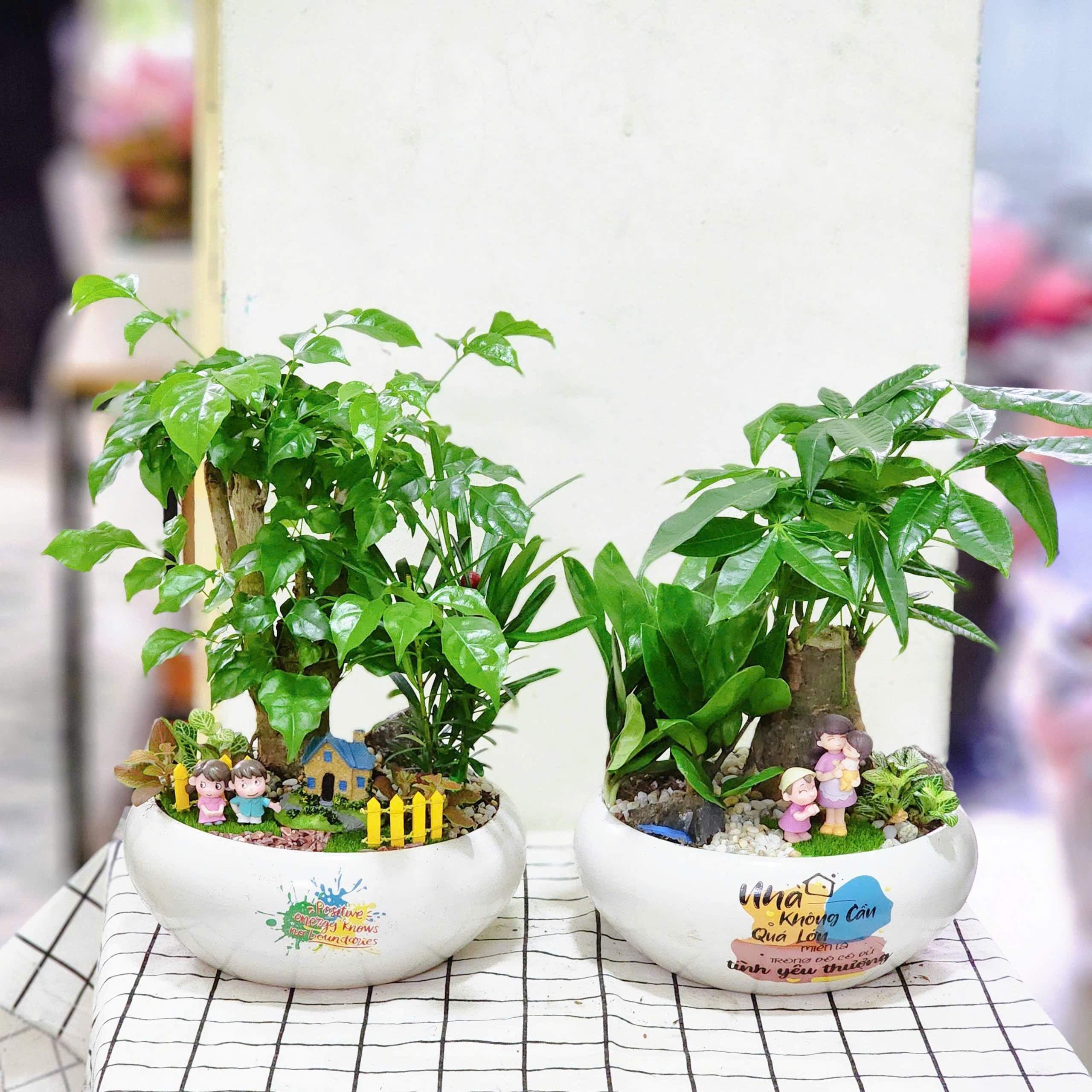 z6148163391904_078e4a58aebaaf599d75efbe5a5529bf