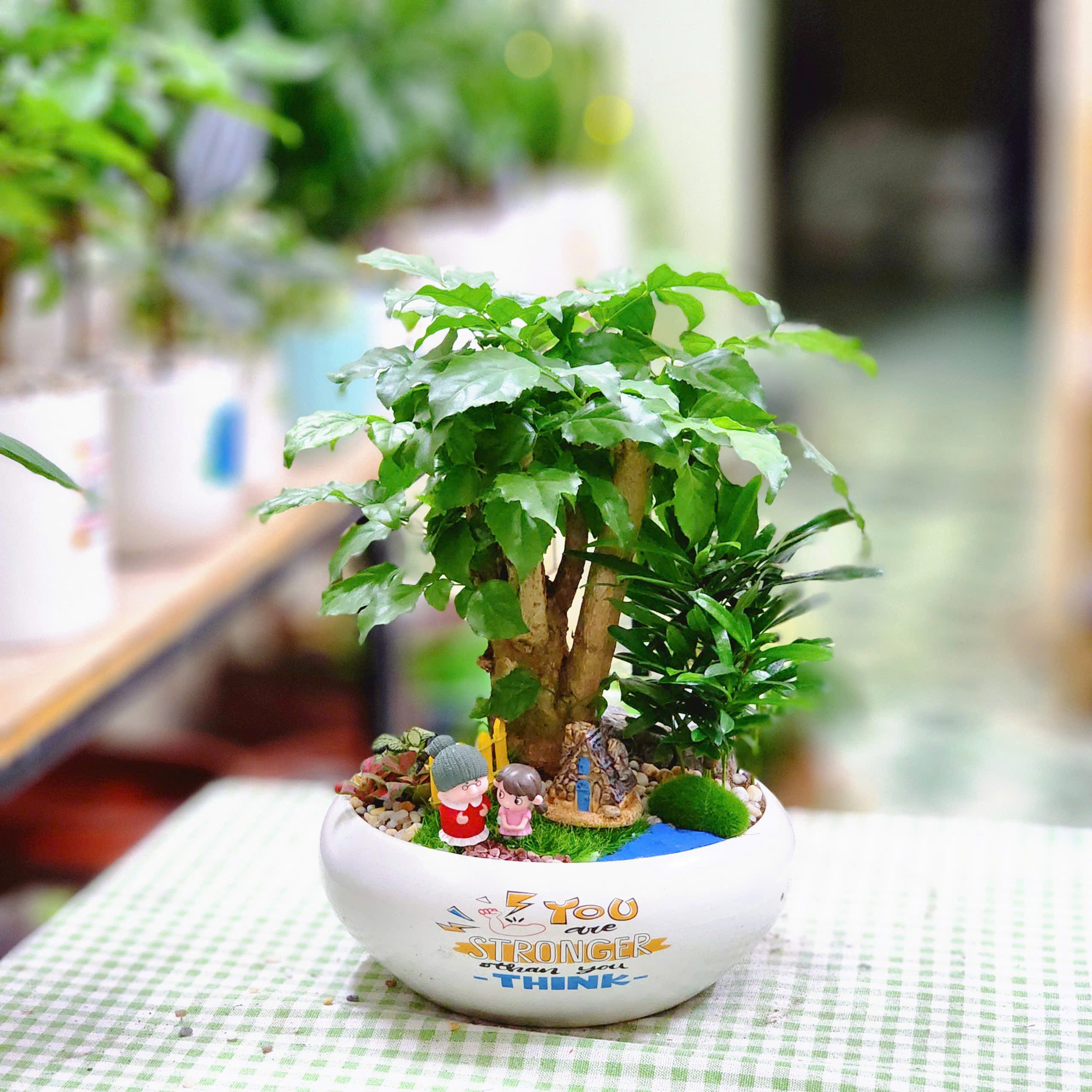 z6322917264444_bb027460e4c43241f10c12667e54ee15