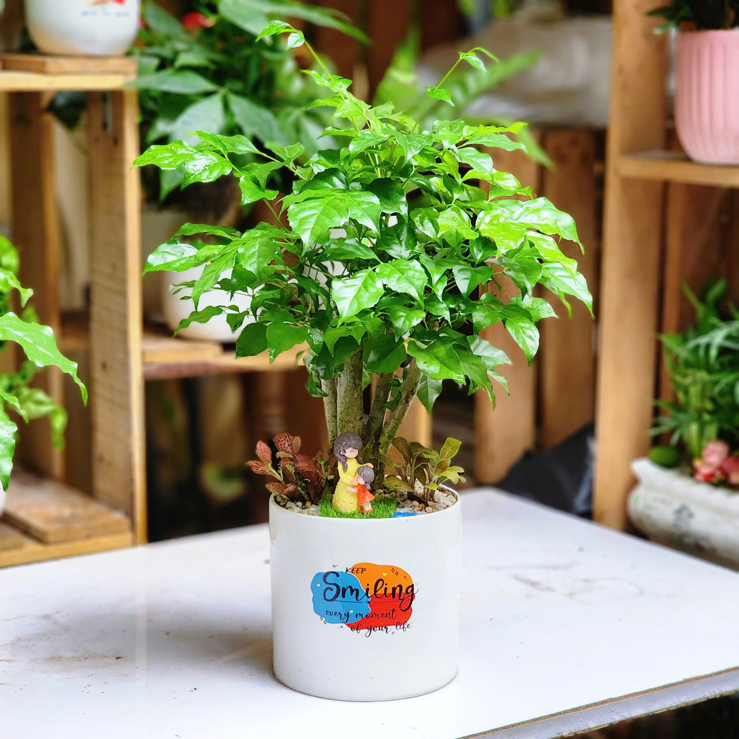 z6994786314601_1d096a6f34ce17152ddd44d9d1ebd830